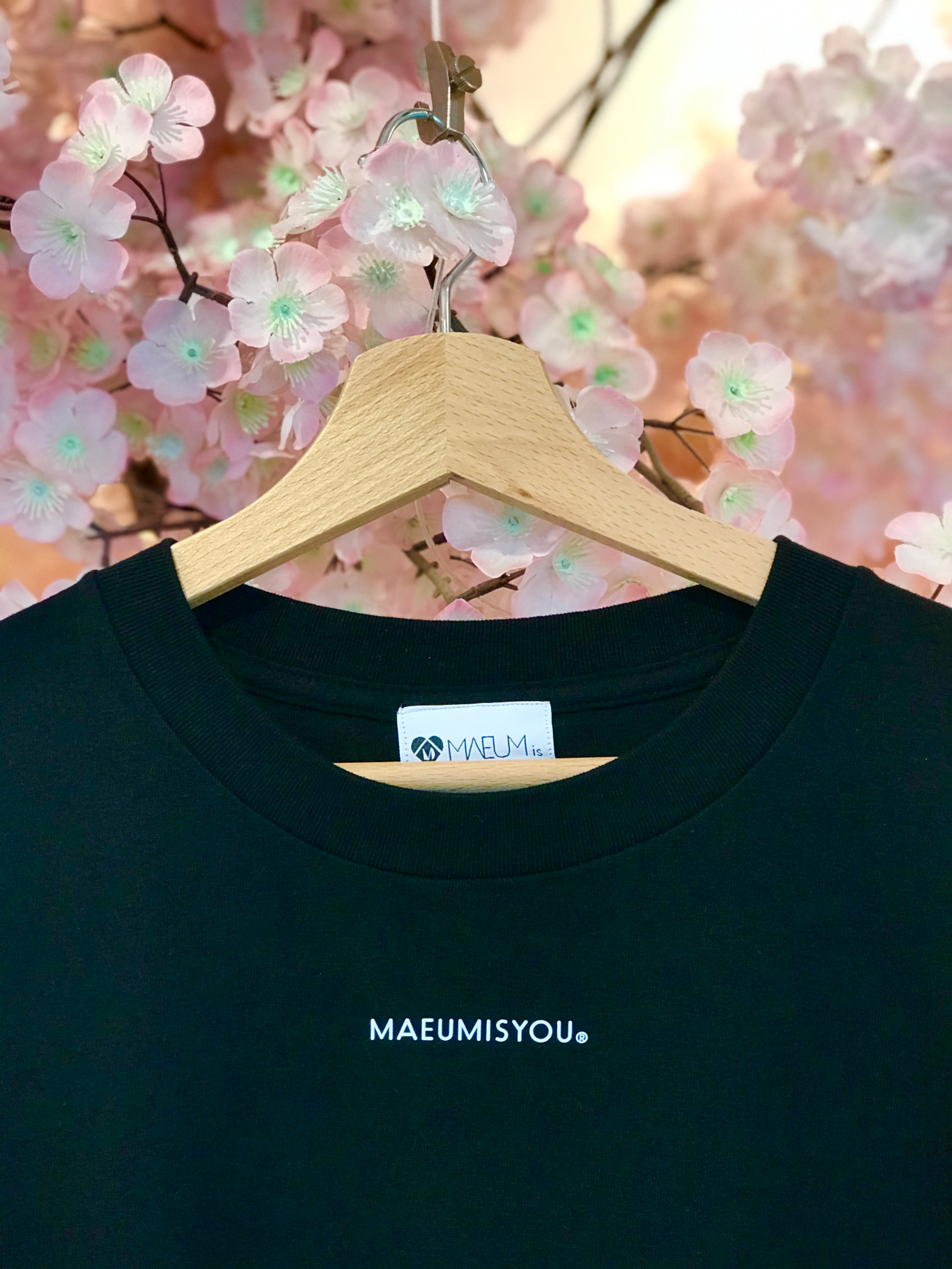 Let's Fly Together To... T-Shirt